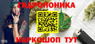 стаф Моздок