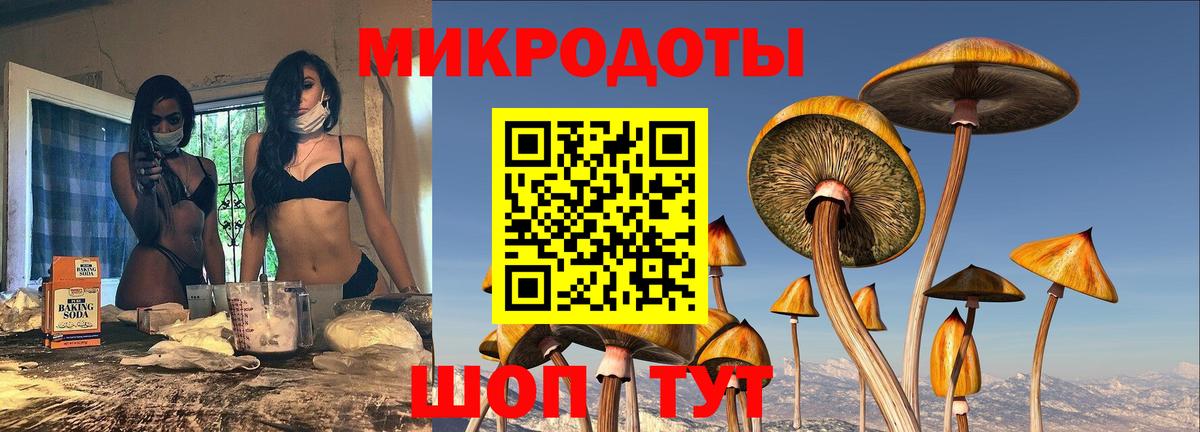Псилоцибиновые грибы Cubensis  Вход с VPN  Холмск 